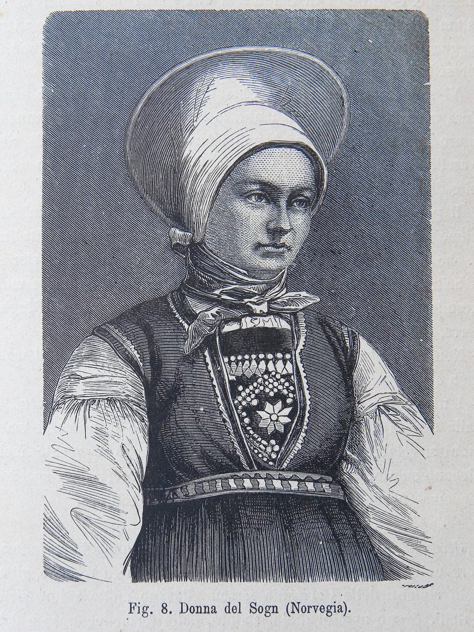 Illustrazione da "La razza umana" di Louis Figuier da Unknown artist