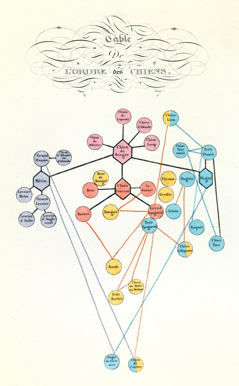 Illustrazione dal libro "Opere complete di Buffon": Les animaux domestiques: Table de l