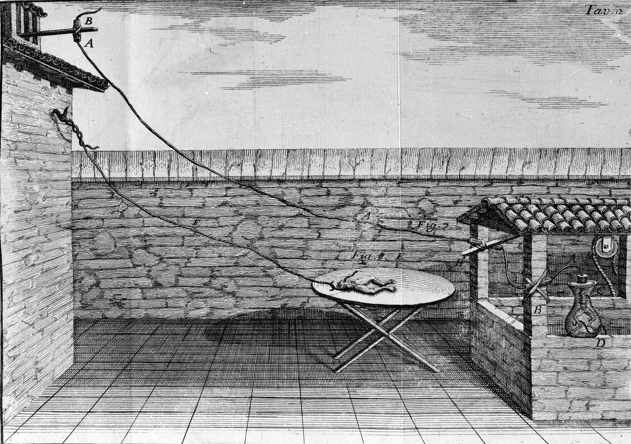 Illustrazione degli esperimenti di Luigi Galvani, fisico e medico italiano (1737 - 1798) che spiegano il passaggio della corrente elettrica che muove le zampe di una rana da Unknown artist
