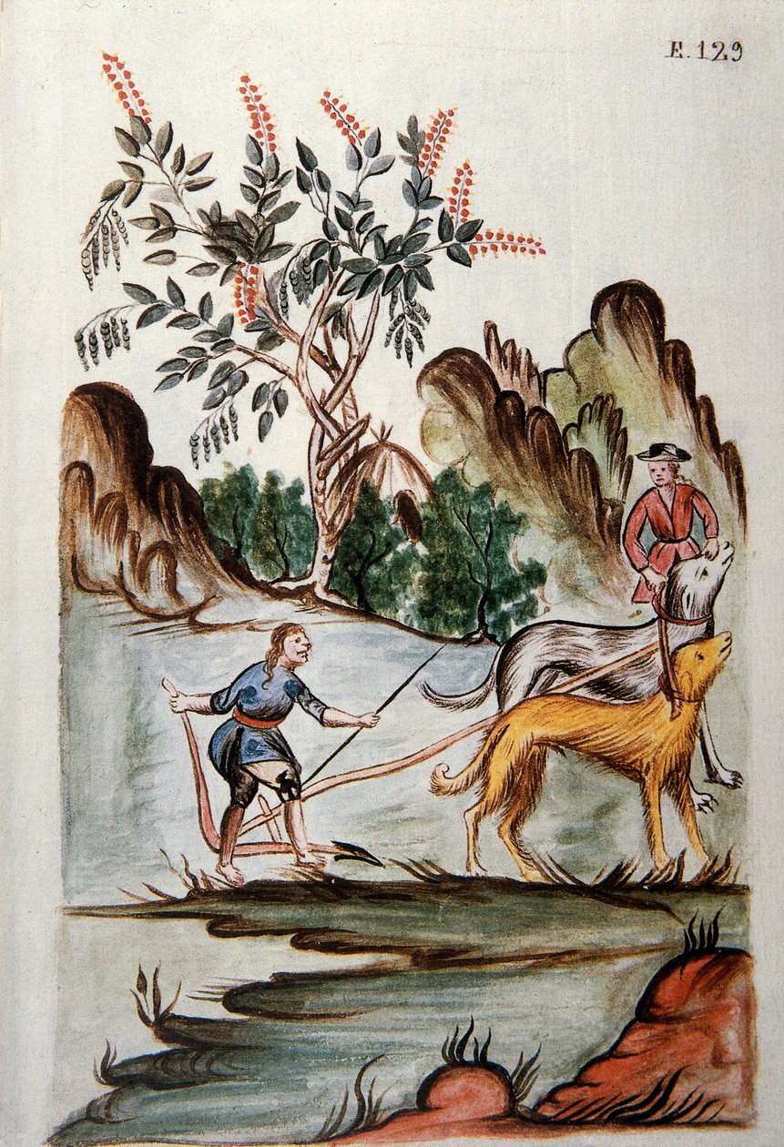 Indiani che arano un campo con cani, dal libro "Trujillo del Peru" o "Codice Martínez Compañón", di Baltazar Martinez Compañón y Bujanda, vescovo di Trujillo (1782-1785) da Unknown artist