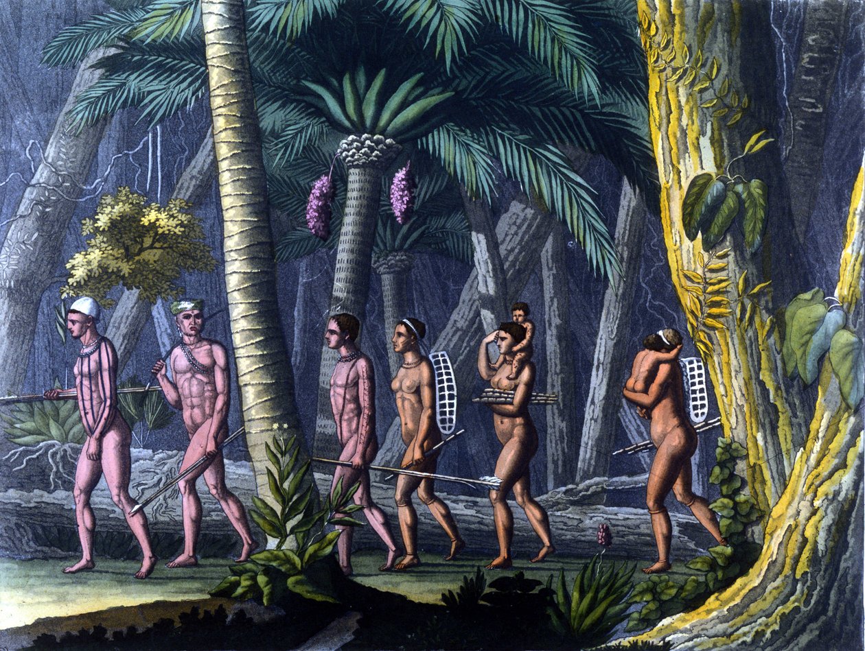 Indiani Puris nella Foresta da Unknown artist