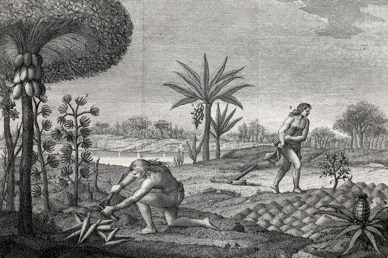 Indigeni che lavorano la terra nel bacino dell