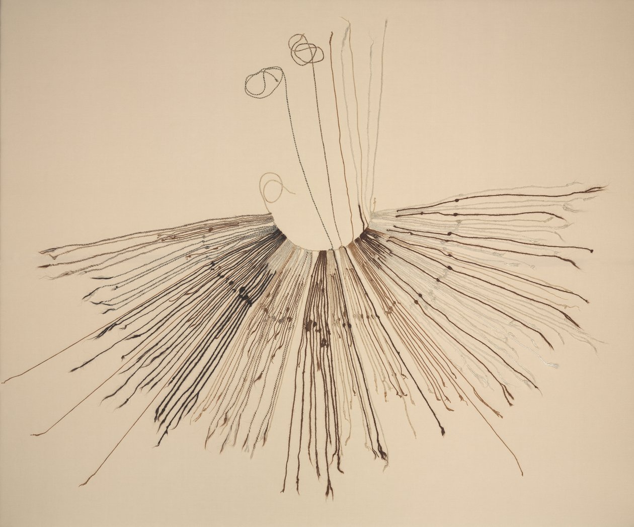 Inka Khipu (Dispositivo di registrazione in fibra) da Unknown artist