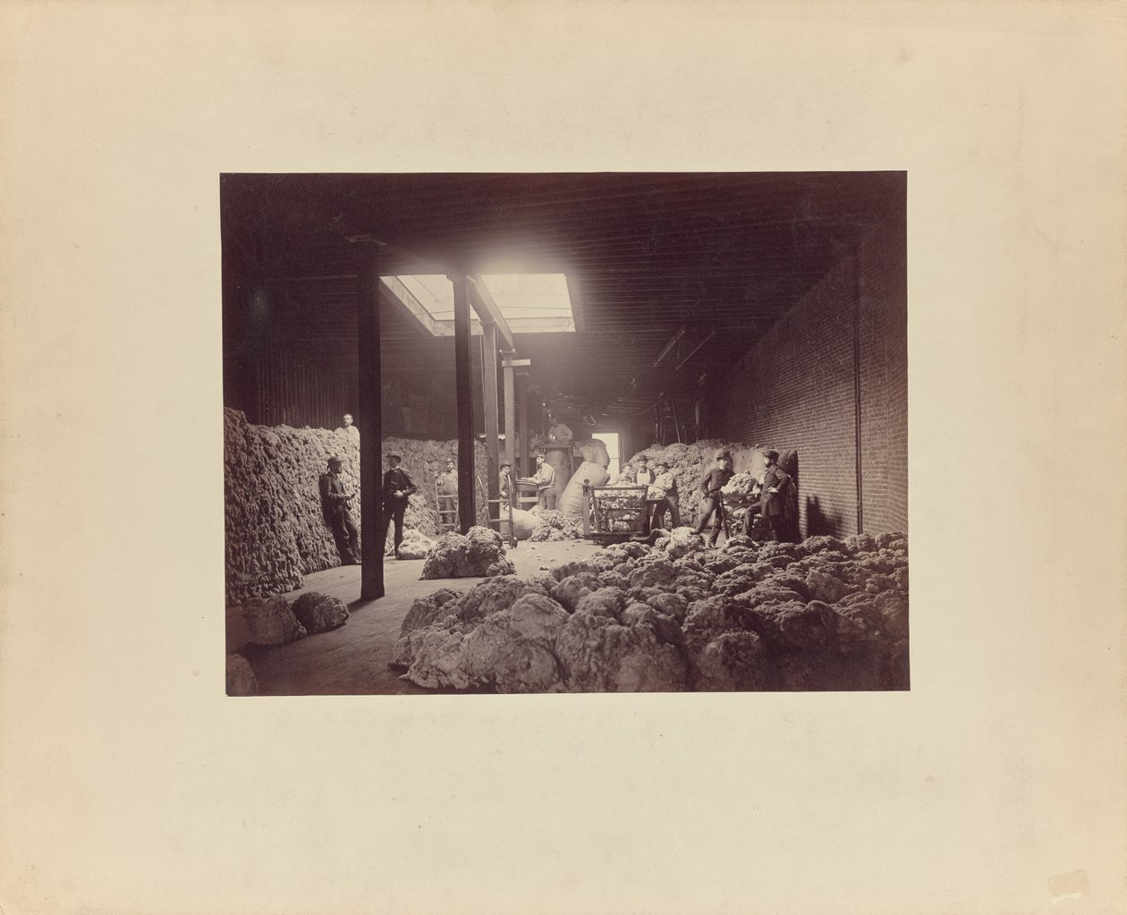 [Interno della casa di smistamento della lana, Walter Brown and Company]. da Unknown artist