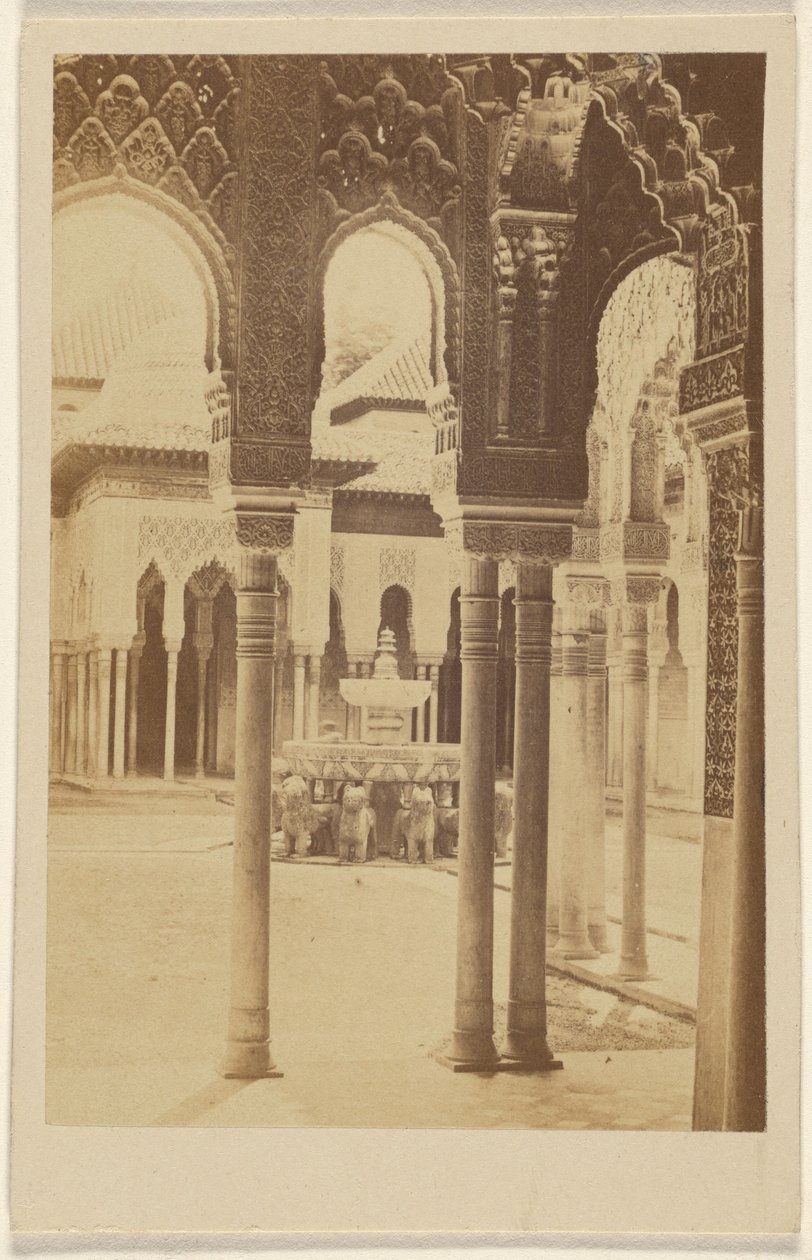 [Vista interna di colonne, l