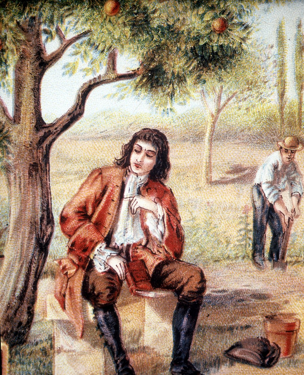 Isaac Newton (1642-1727), matematico, fisico e astronomo inglese, scopre la teoria della gravitazione osservando la caduta di un melo, illustrazione del XIX secolo. da Unknown artist