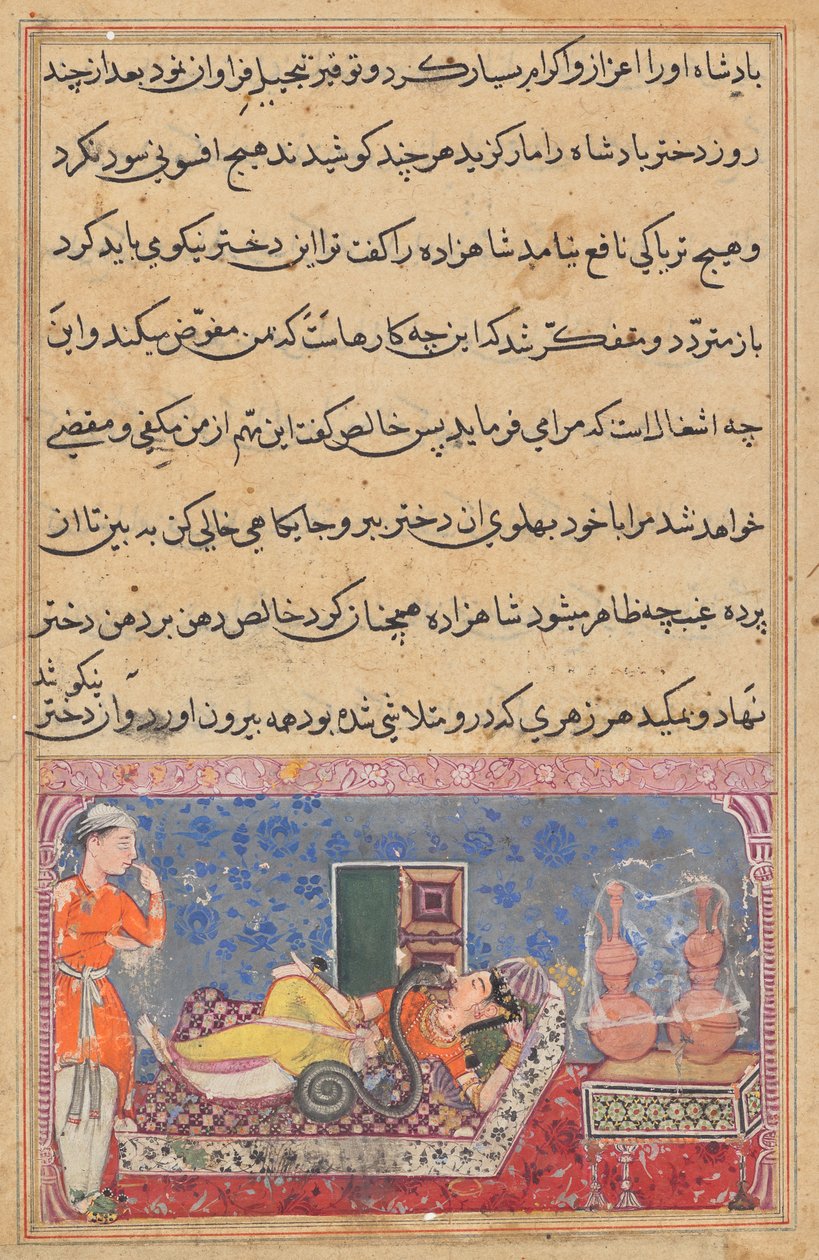 Khalis ripaga il principe per la sua gentilezza trasformandosi in un serpente e succhiando il veleno dalla figlia del re, da un Tuti-nama (Racconti di un pappagallo): Diciottesima Notte da Unknown artist