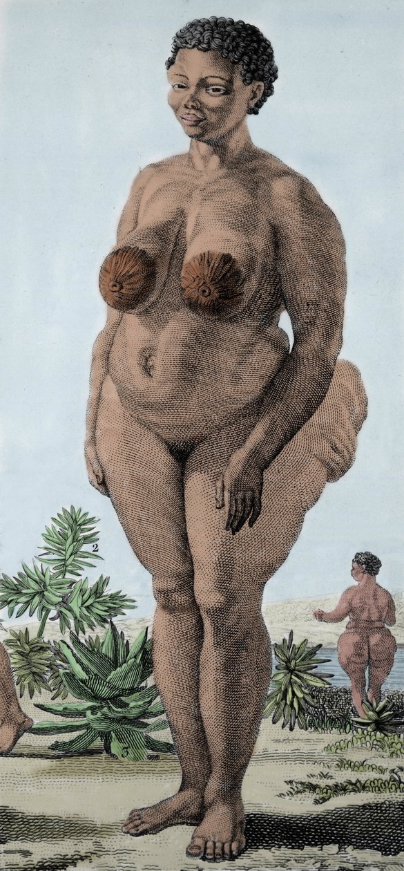 La Venere Ottentotta, donna della razza Bochiman; incisione del 1815 da Unknown artist