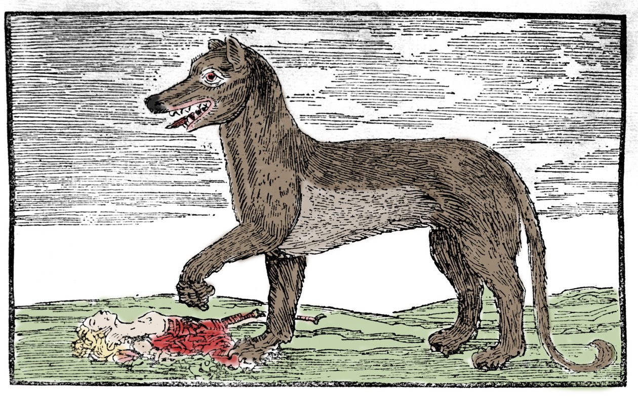 La bestia del Gévaudan, incisione da 