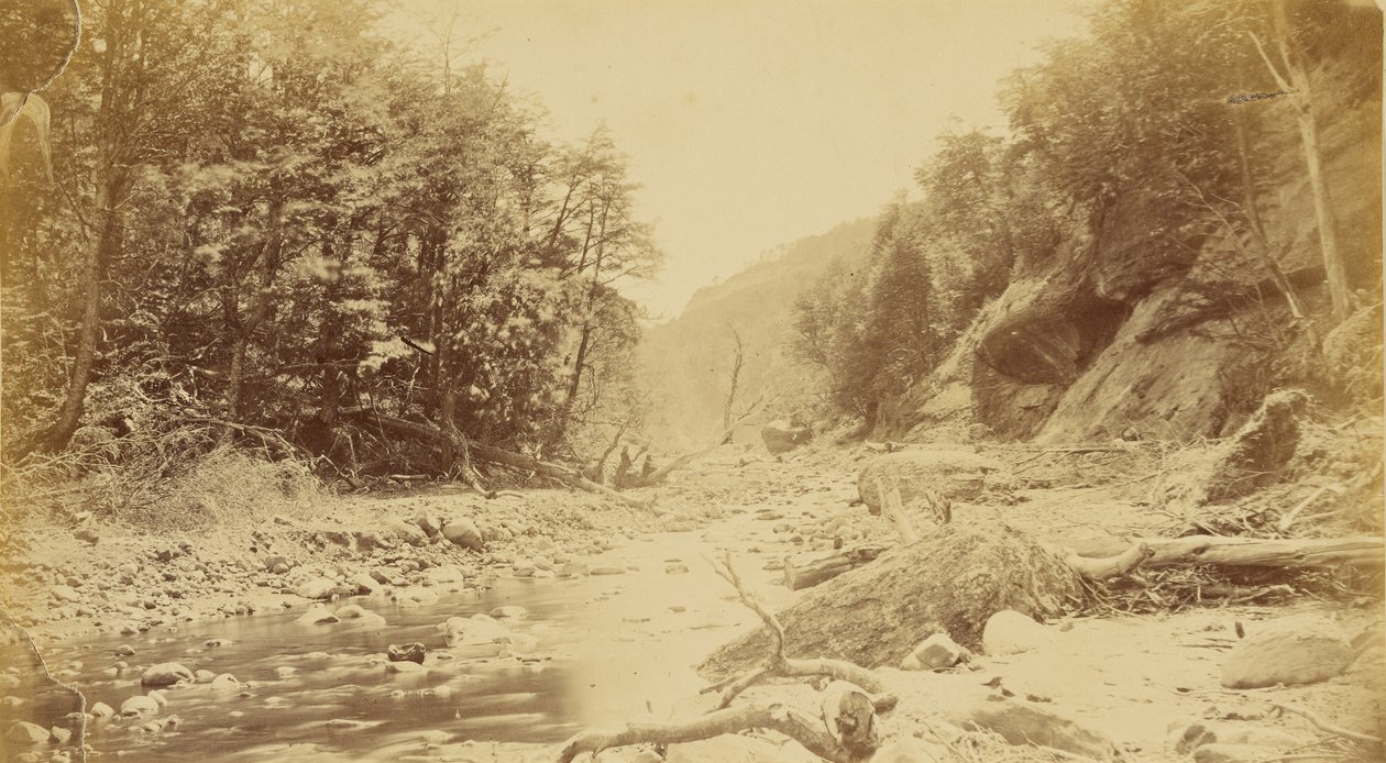 [Paesaggio con fiume, forse in Sud America]. da Unknown artist