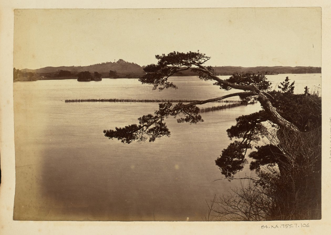 [Paesaggio con lago e alberi] da Unknown artist