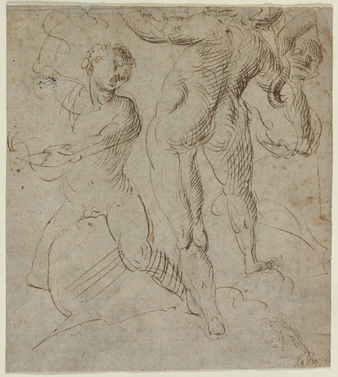 Laocoonte (recto) da Unknown artist