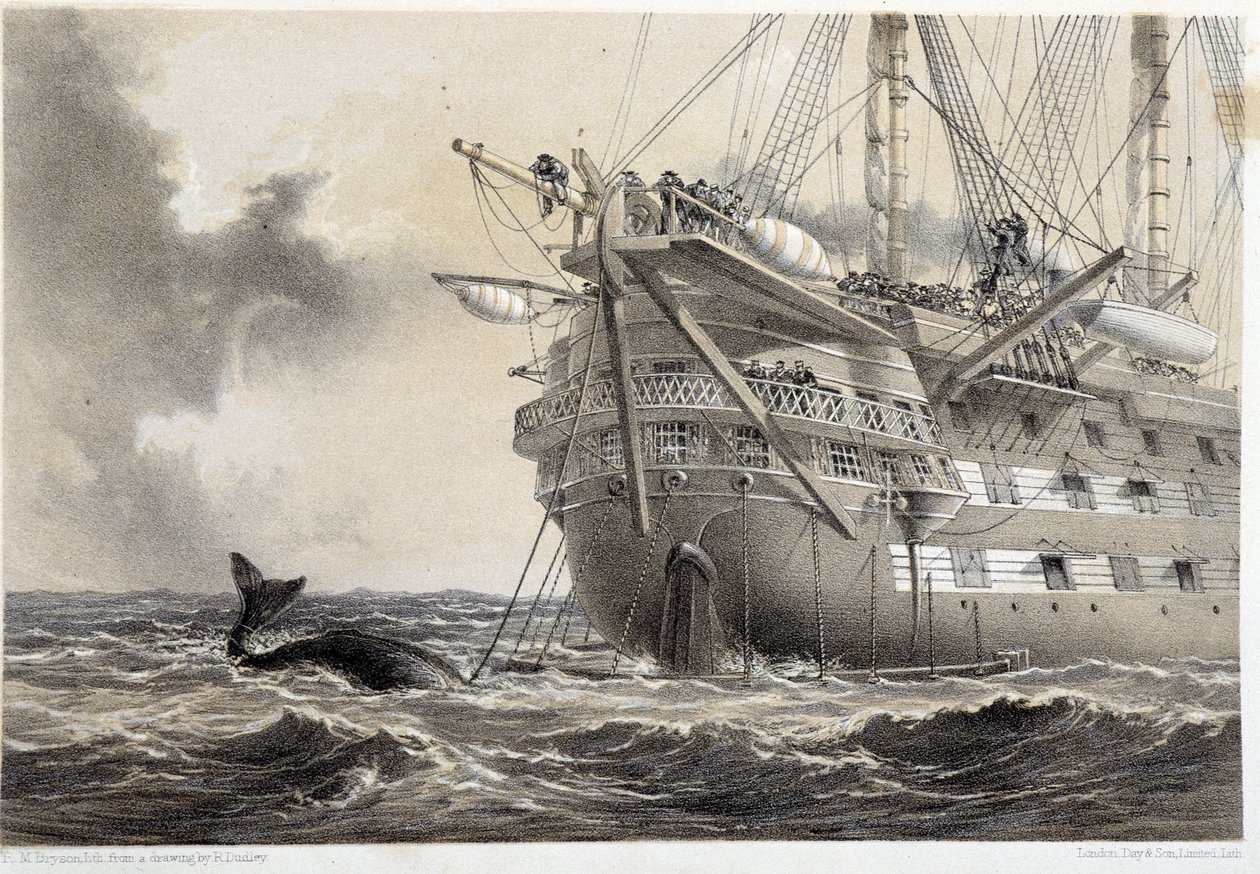 Posa del cavo telegrafico atlantico, una balena intorno alla barca da Unknown artist