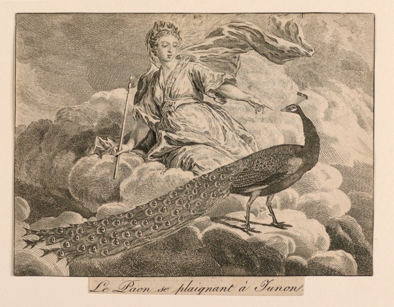 "Il pavone che si lamenta con Giunone" dalle Favole di La Fontaine da Unknown artist