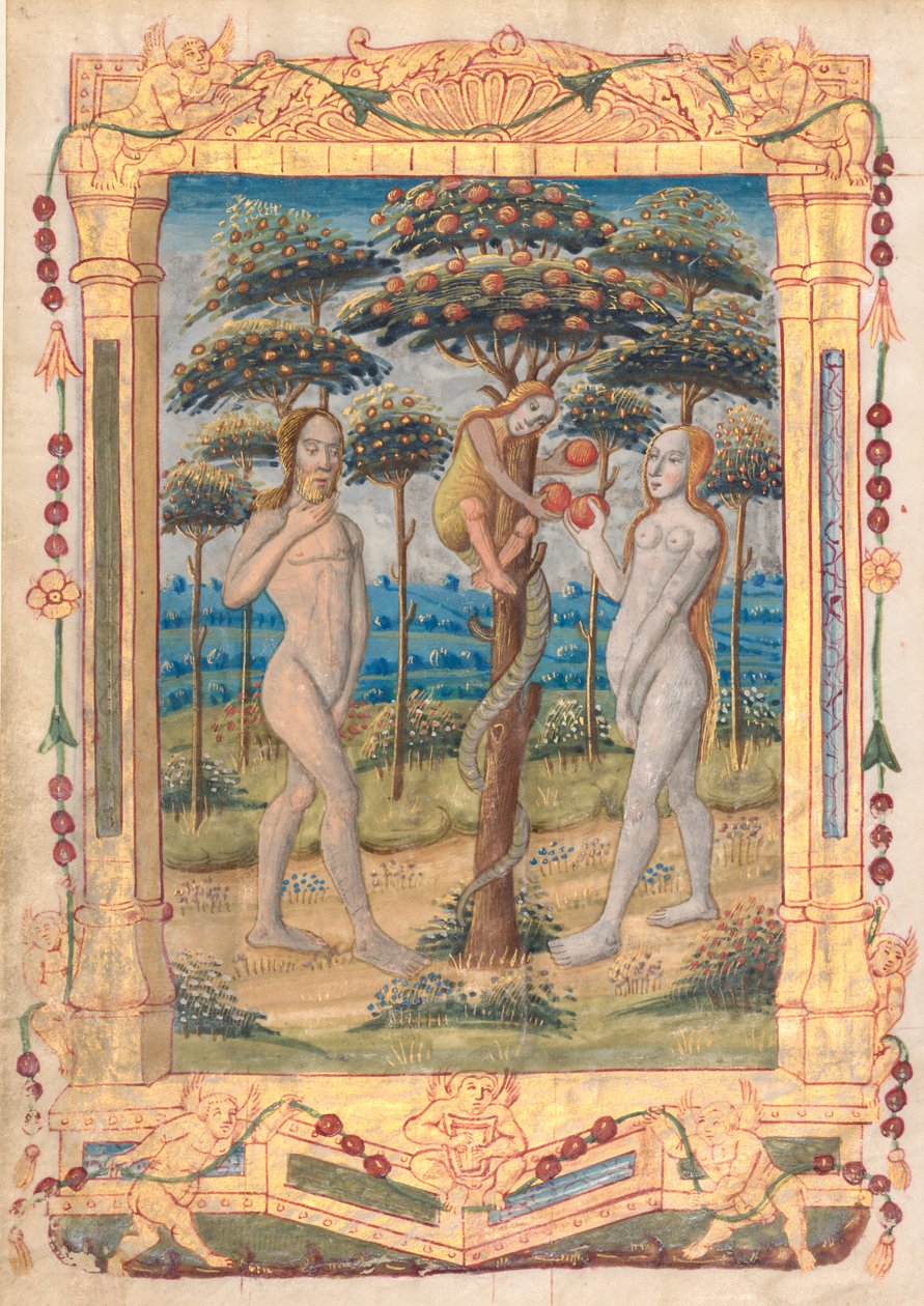 Foglio da un Libro d