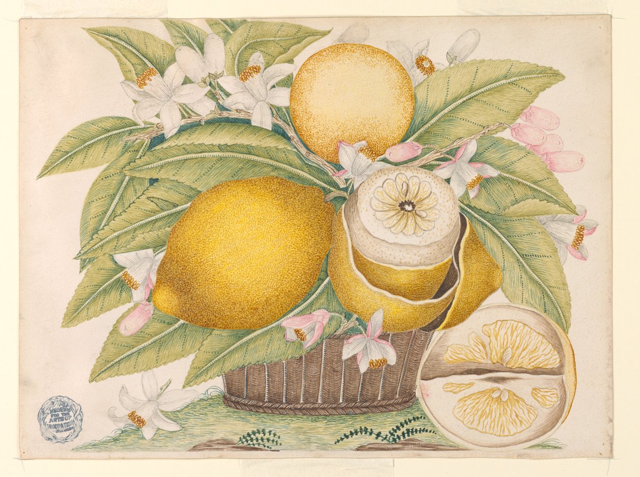 Limoni e fiori di limone in un cesto da Unknown artist
