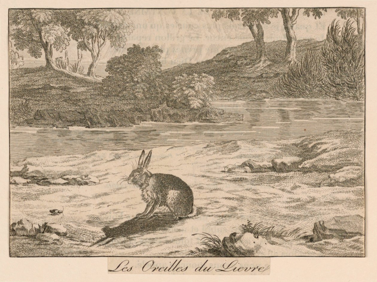 "Le Orecchie della Lepre" dalle Favole di La Fontaine da Unknown artist