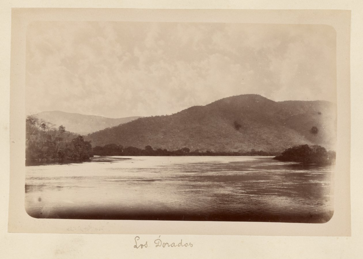Los Dorados da Unknown artist
