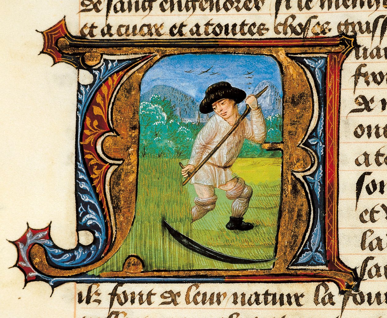 Medicina: un contadino che falcia il grano. Miniatura tratta dal Trattato di Medicina di Aldebrando di Firenze (Aldebrando) da Unknown artist