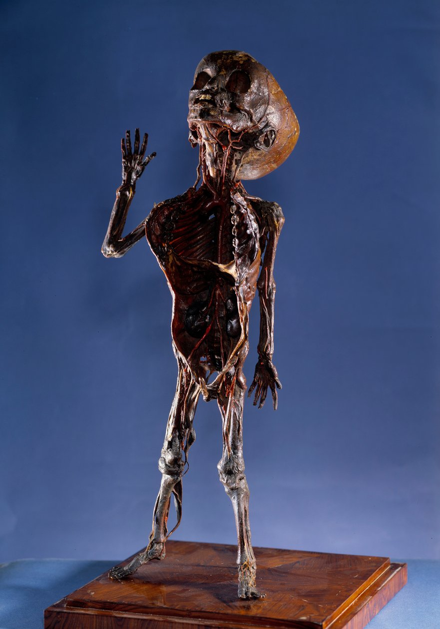 Medicina: figurina di buccia da Unknown artist