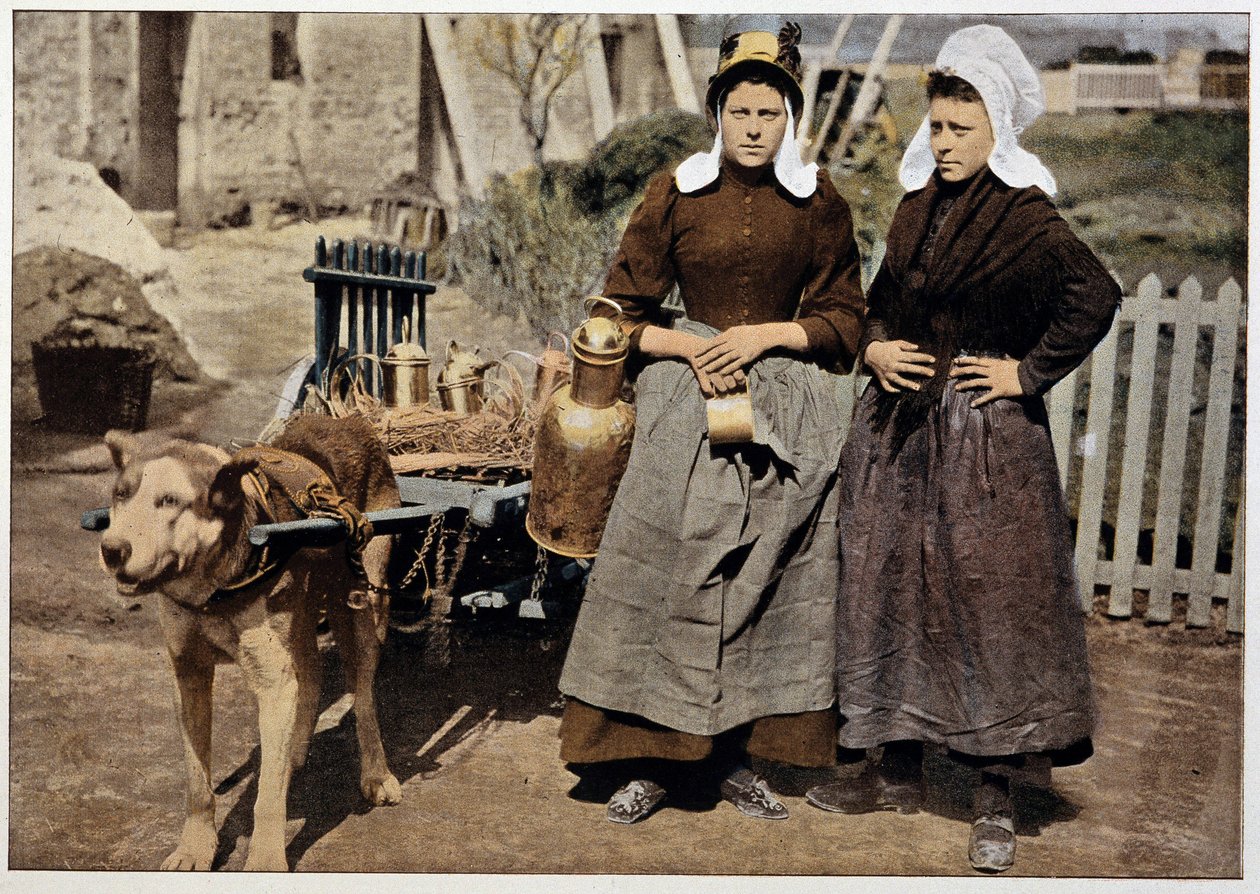 Venditori di latte e carretto trainato da cani di Anversa, fine XIX secolo da Unknown artist