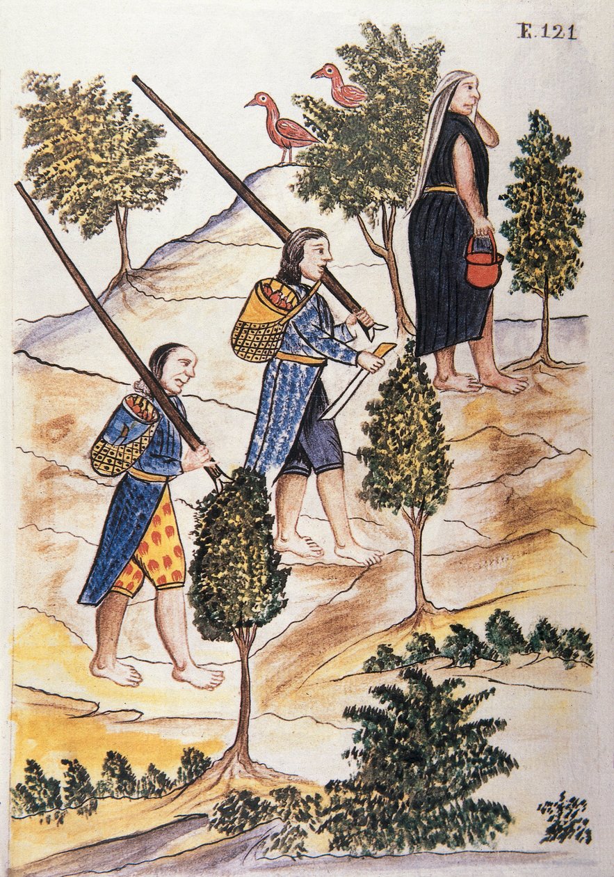 Indiani Motilones che vanno a caccia, dal libro "Trujillo del Peru" o "Codice Martínez Compañón", di Baltazar Martinez Compañón y Bujanda, vescovo di Trujillo (1782-1785) da Unknown artist
