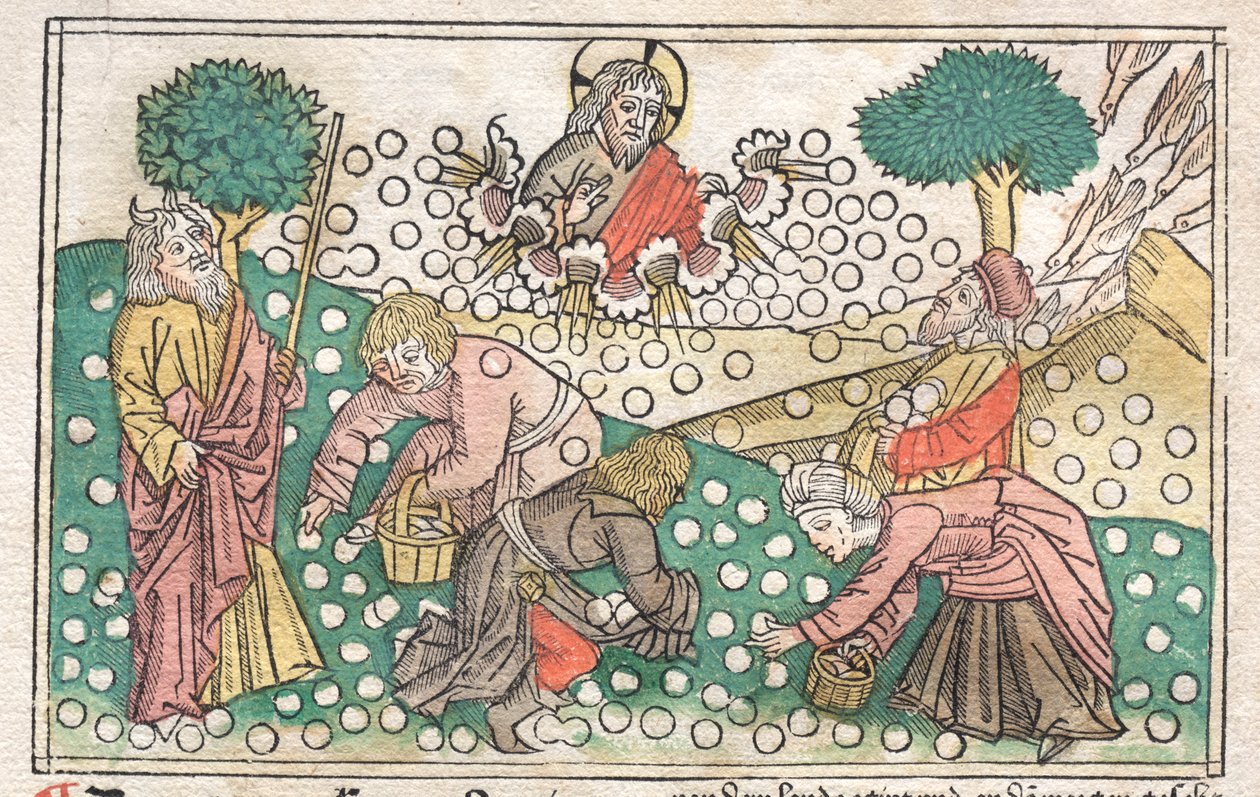 Bibbia di Norimberga: Manna che cade dal cielo da Unknown artist