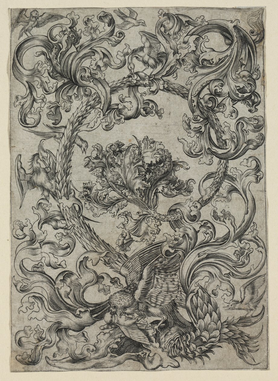 Fogliame ornamentale, con un gufo e altri uccelli da Unknown artist