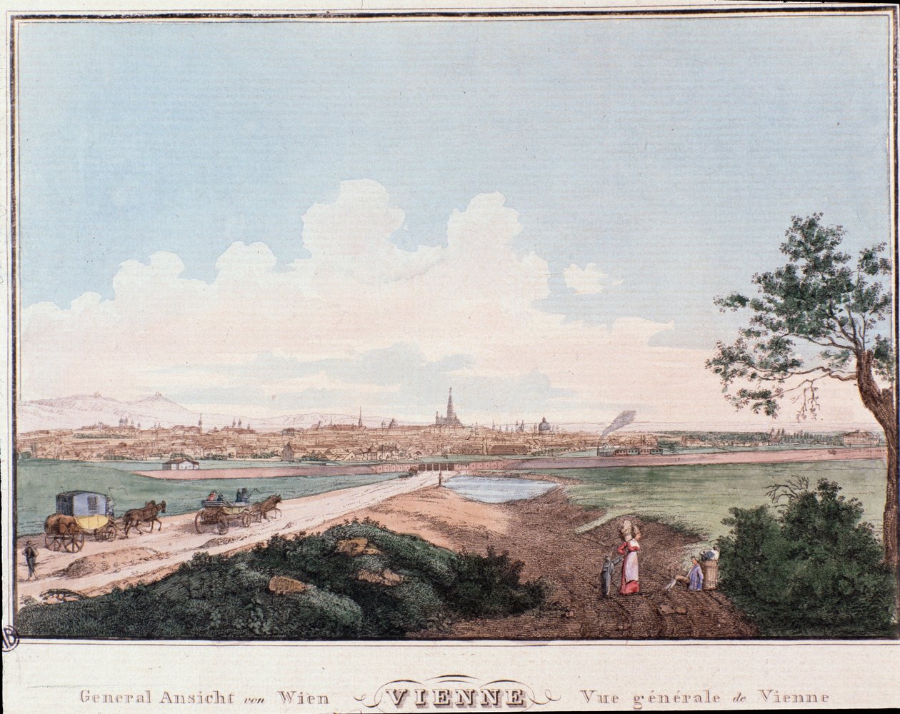 Veduta della città di Vienna con ponte che attraversa il Danubio. Austria Incisione del 1830 Collezione privata da Unknown artist