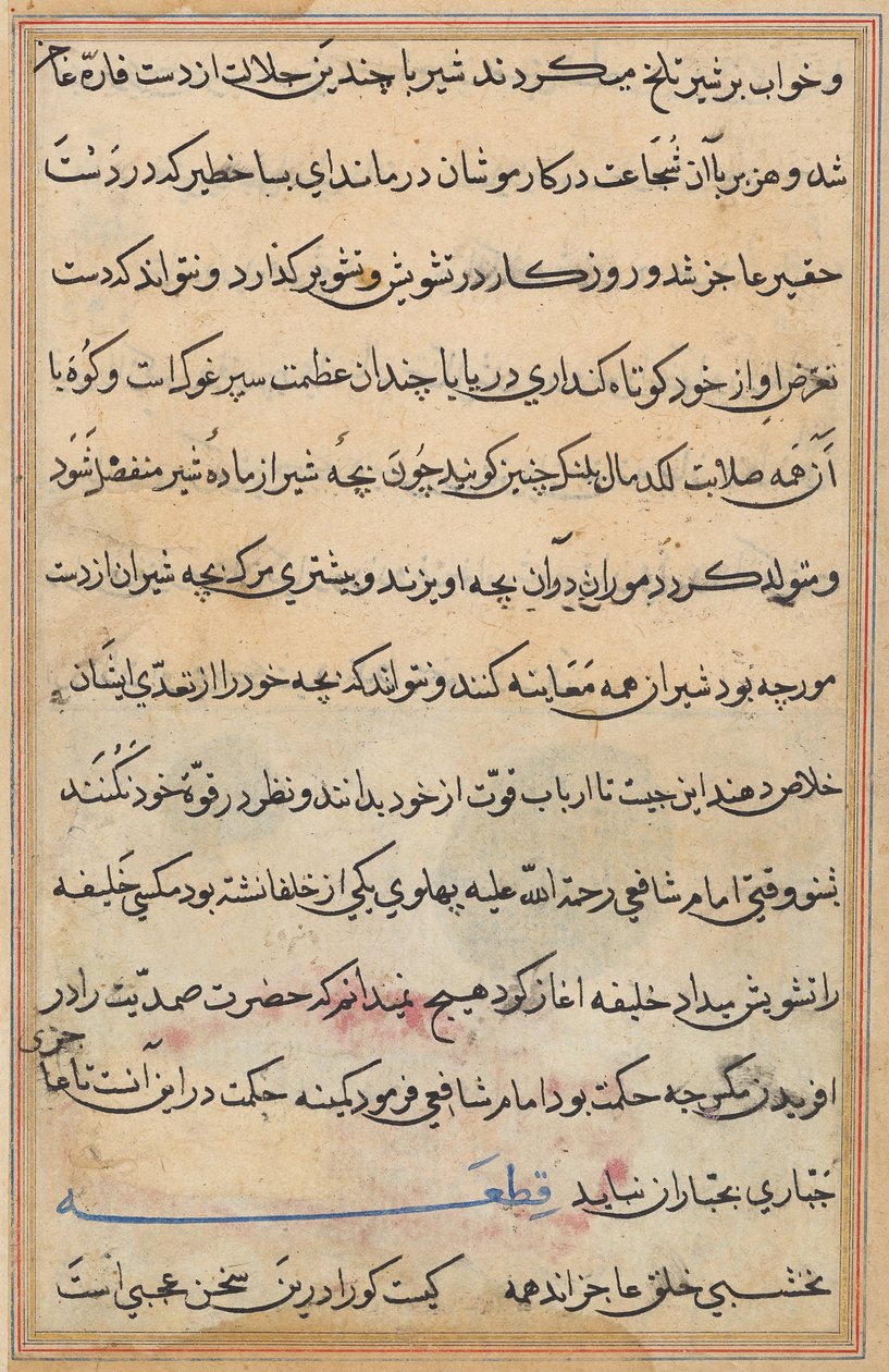 Pagina da Tales of a Parrot (Tuti-nama): pagina di testo da Unknown artist