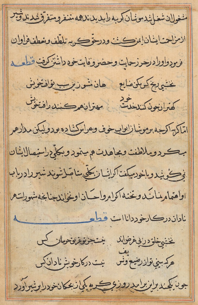 Pagina da Tales of a Parrot (Tuti-nama): pagina di testo da Unknown artist