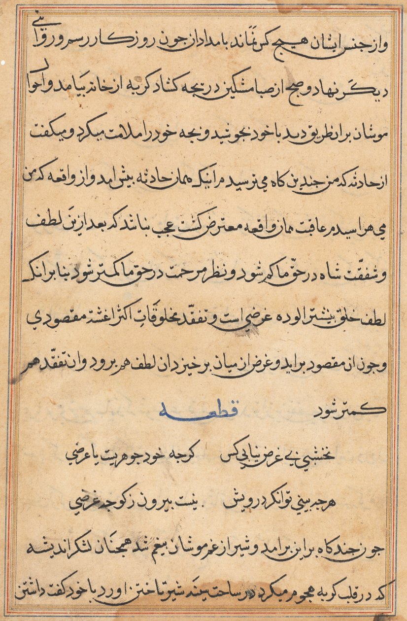 Pagina da Tales of a Parrot (Tuti-nama): pagina di testo da Unknown artist