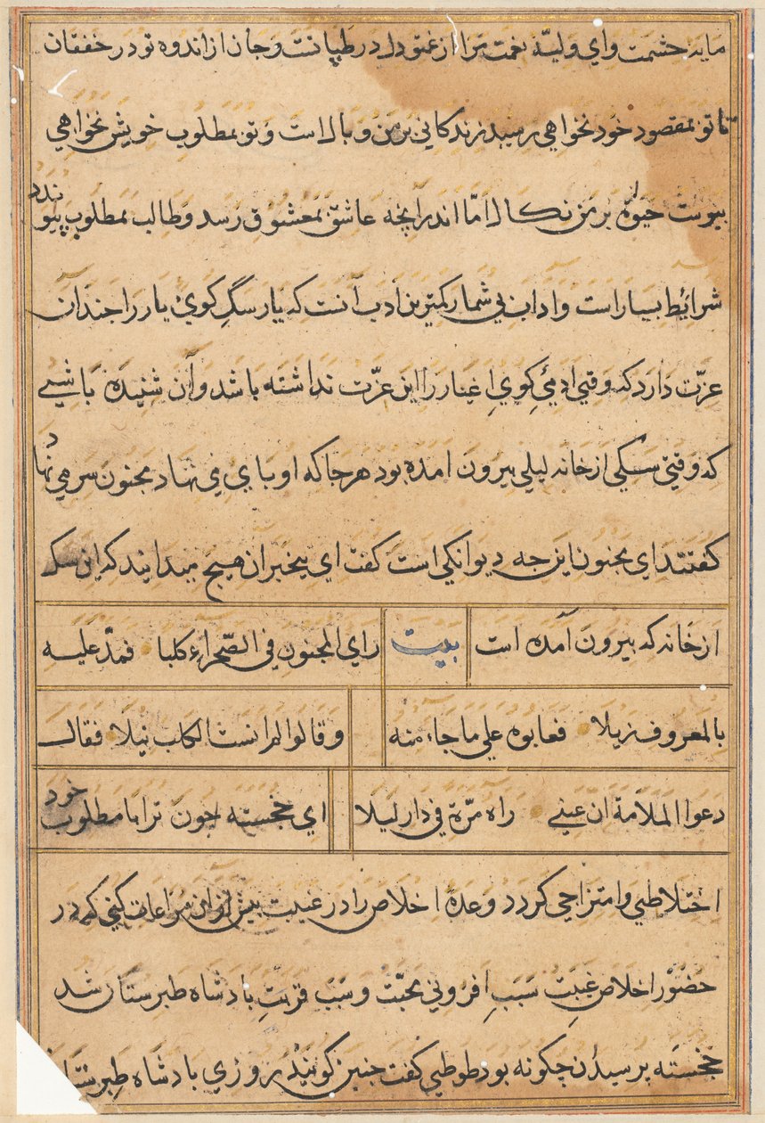 Pagina da Tales of a Parrot (Tuti-nama): pagina di testo da Unknown artist