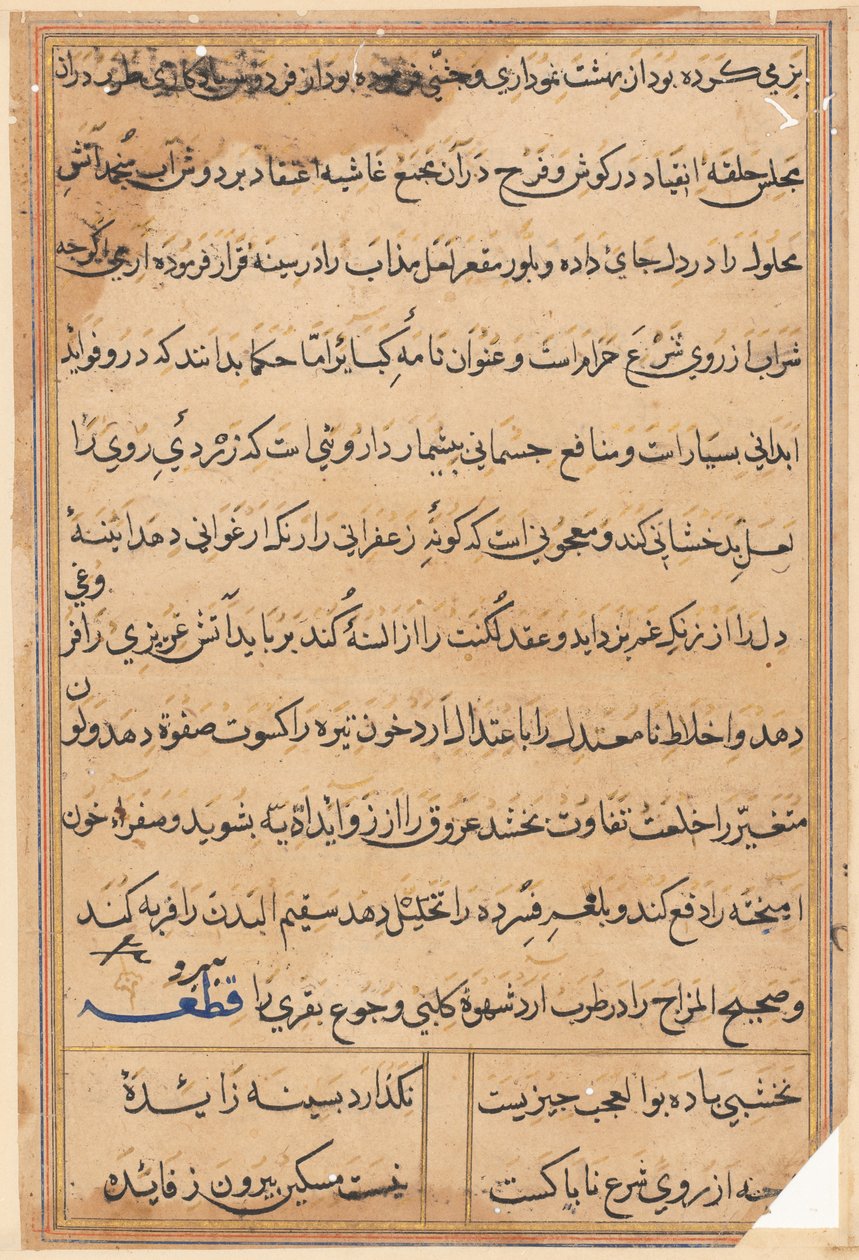 Pagina da Tales of a Parrot (Tuti-nama): pagina di testo da Unknown artist