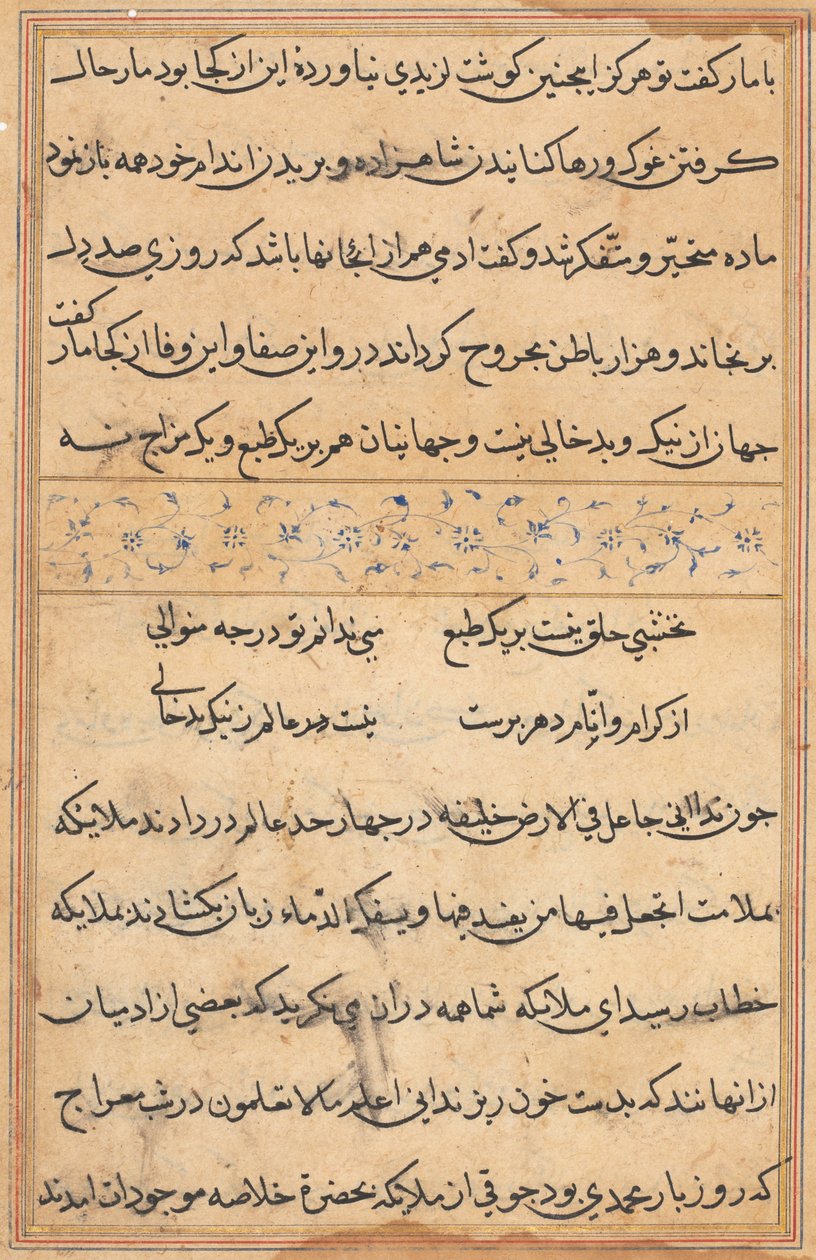 Pagina da Tales of a Parrot (Tuti-nama): pagina di testo da Unknown artist
