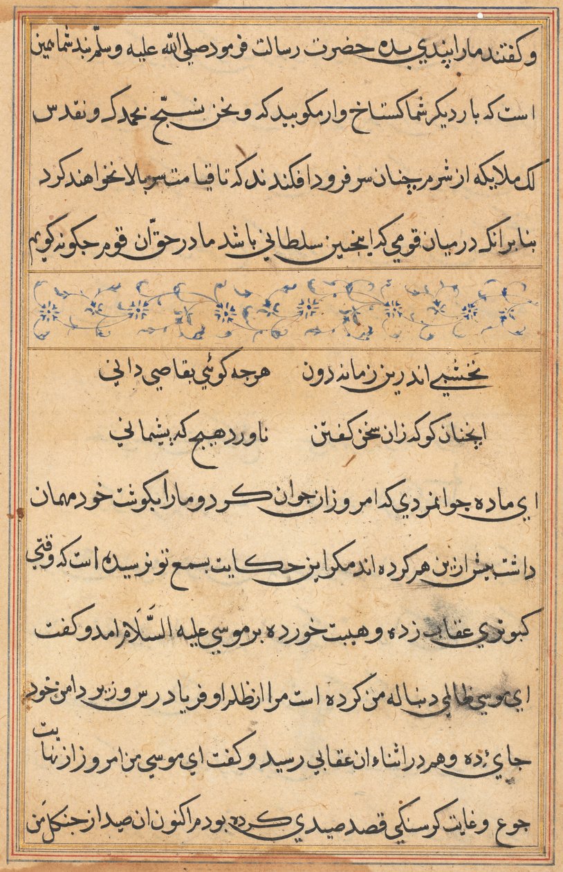 Pagina da Tales of a Parrot (Tuti-nama): pagina di testo da Unknown artist