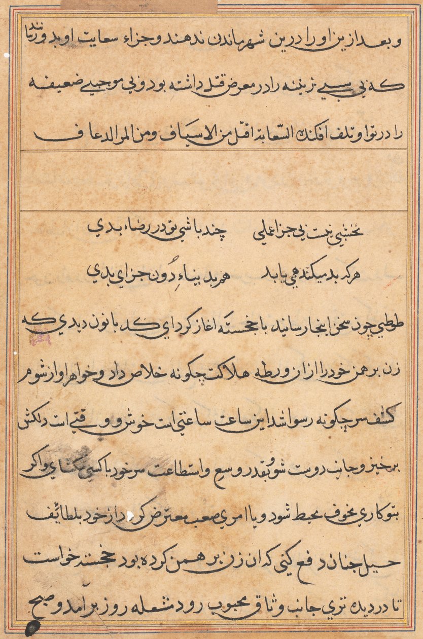 Pagina da Racconti di un pappagallo (Tuti-nama): pagina di testo da Unknown artist