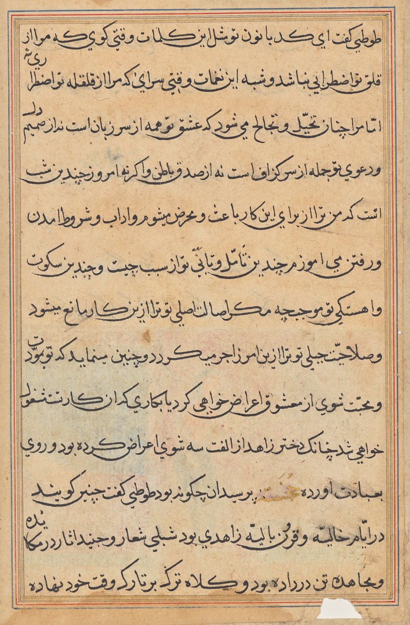 Pagina da Racconti di un pappagallo (Tuti-nama): pagina di testo da Unknown artist