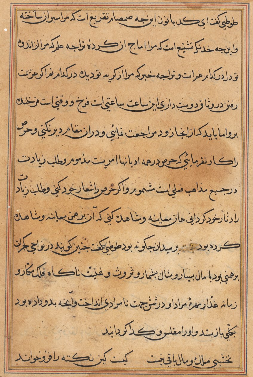Pagina da Racconti di un pappagallo (Tuti-nama): pagina di testo da Unknown artist