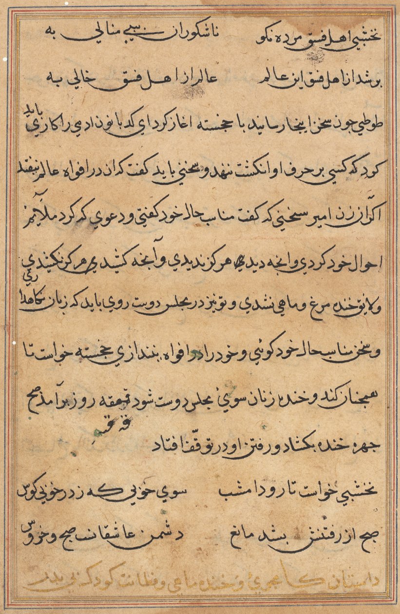 Pagina da Tales of a Parrot (Tuti-nama): pagina di testo da Unknown artist