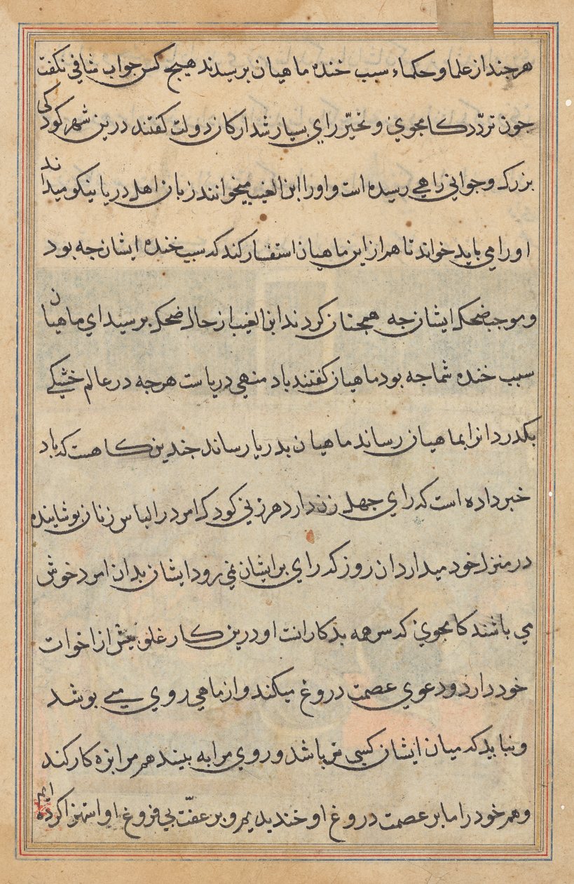 Pagina da Tales of a Parrot (Tuti-nama): pagina di testo da Unknown artist