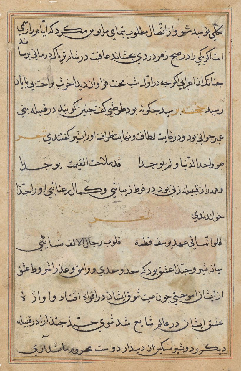 Pagina da Tales of a Parrot (Tuti-nama): pagina di testo da Unknown artist