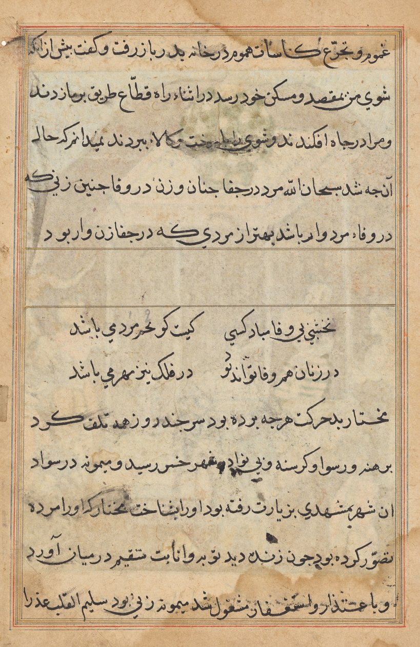 Pagina da Tales of a Parrot (Tuti-nama): pagina di testo da Unknown artist