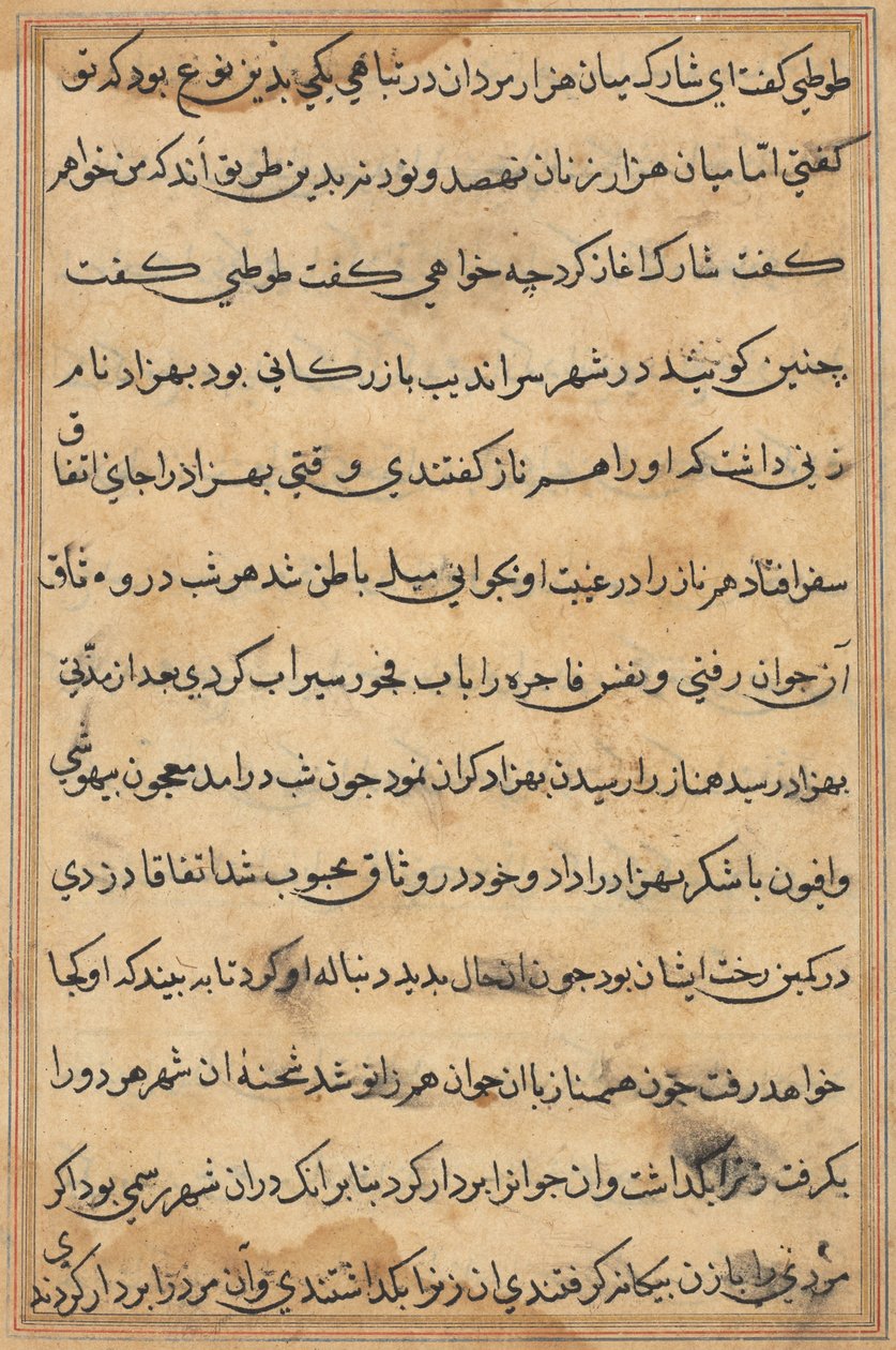 Pagina da Tales of a Parrot (Tuti-nama): pagina di testo da Unknown artist