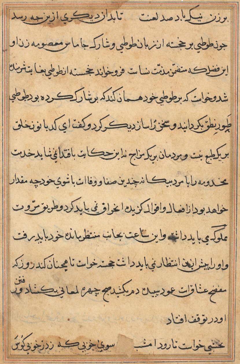 Pagina da Tales of a Parrot (Tuti-nama): pagina di testo da Unknown artist