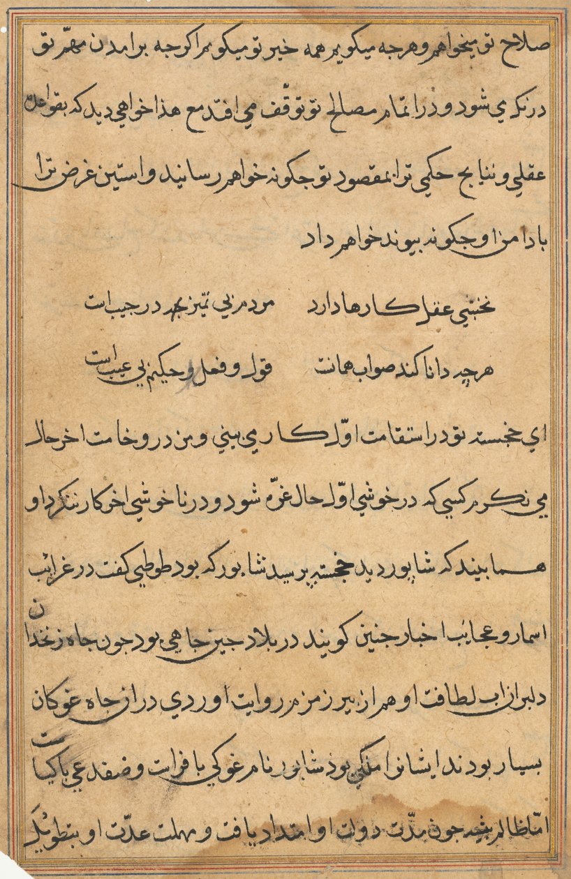 Pagina da Tales of a Parrot (Tuti-nama): pagina di testo da Unknown artist