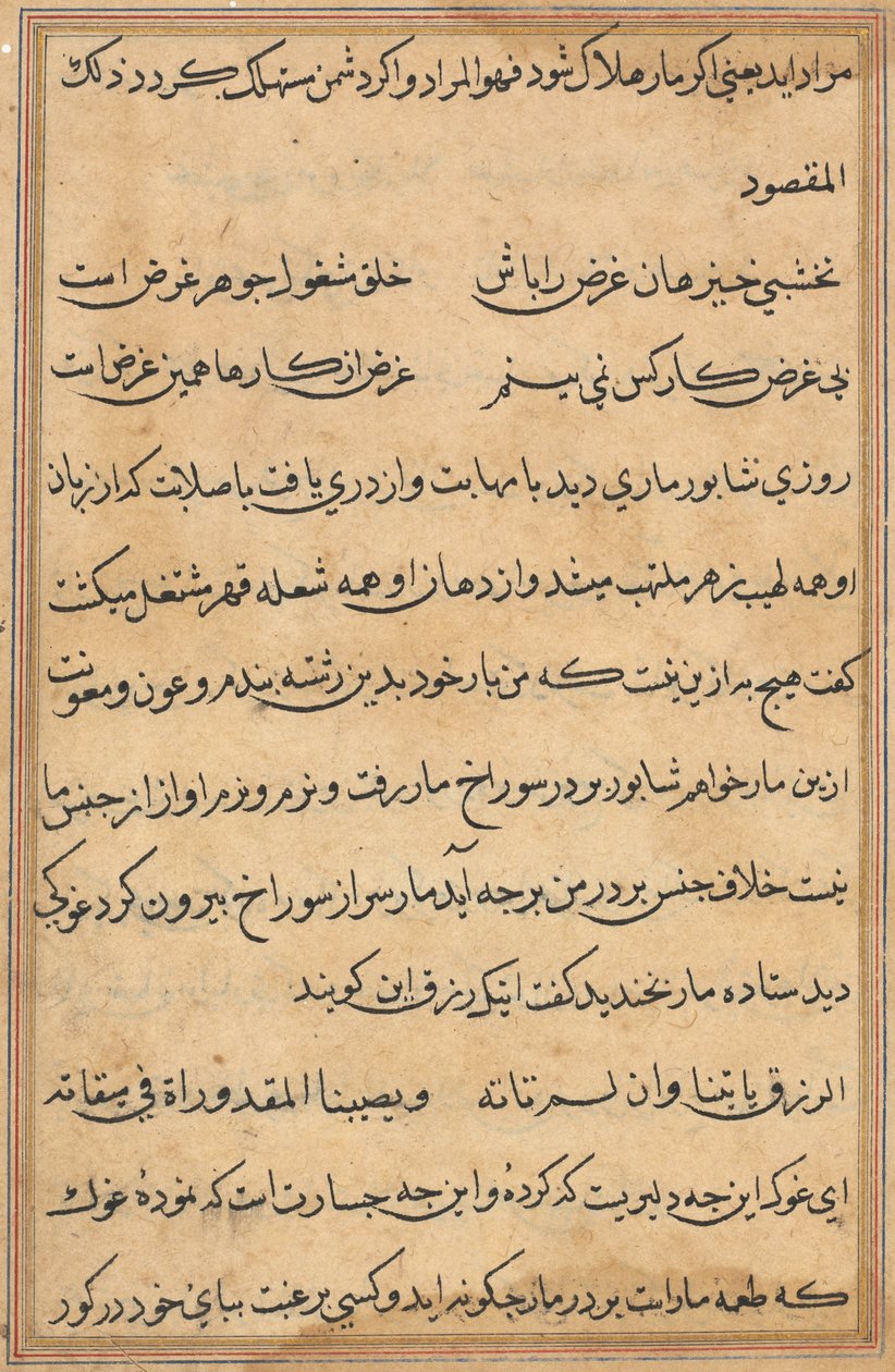 Pagina da Tales of a Parrot (Tuti-nama): pagina di testo da Unknown artist