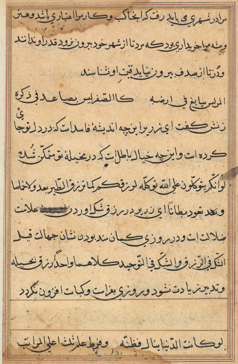 Pagina da Tales of a Parrot (Tuti-nama): pagina di testo da Unknown artist