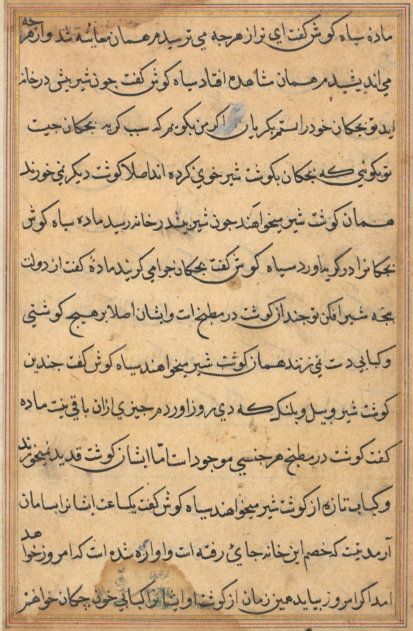 Pagina da Tales of a Parrot (Tuti-nama): pagina di testo da Unknown artist