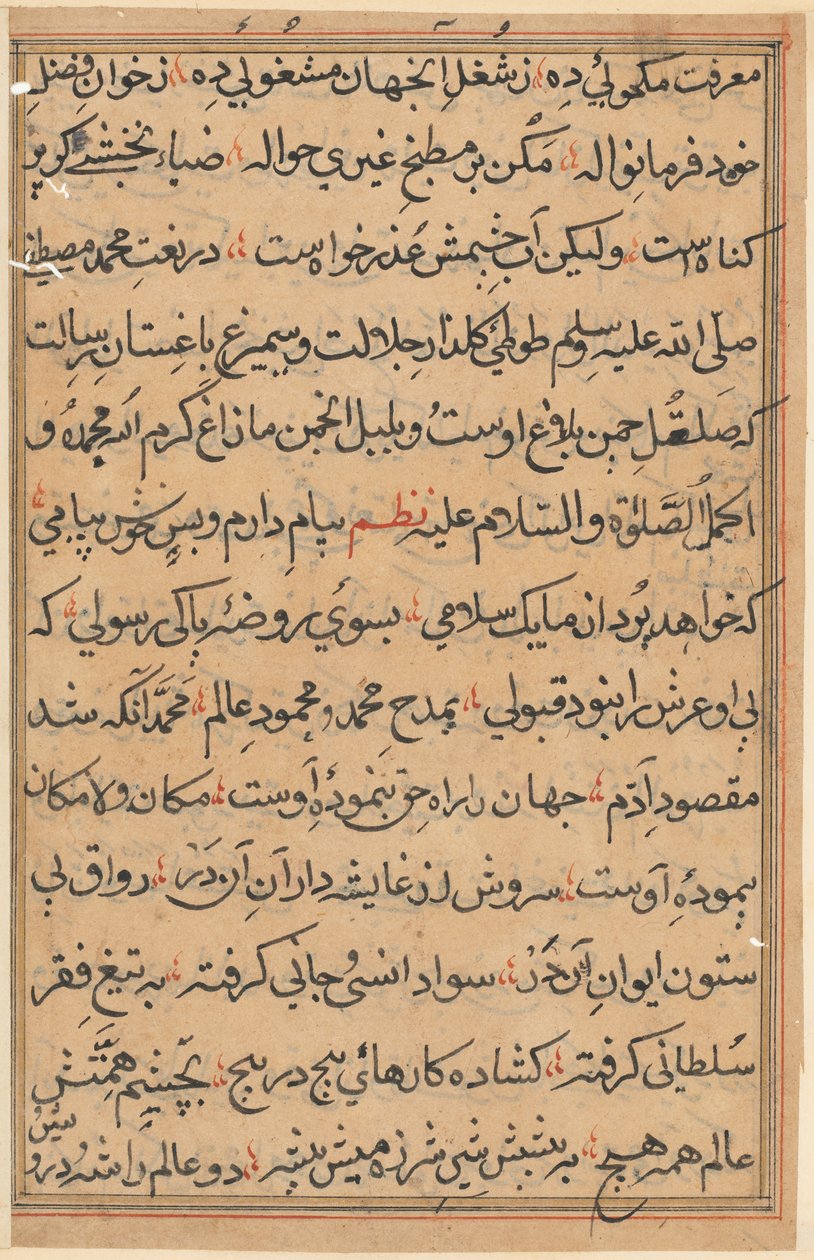 Pagina da Tales of a Parrot (Tuti-nama): pagina di testo da Unknown artist